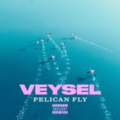 PELICAN FLY artwork