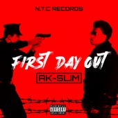 First Day Out artwork