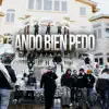 Ando Bien Pedo - Single album lyrics, reviews, download