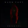 Burn Fast - Single album lyrics, reviews, download