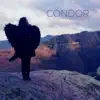 Condor - Single album lyrics, reviews, download