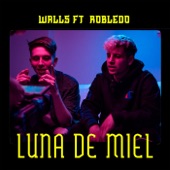Luna de Miel (feat. Robledo) artwork