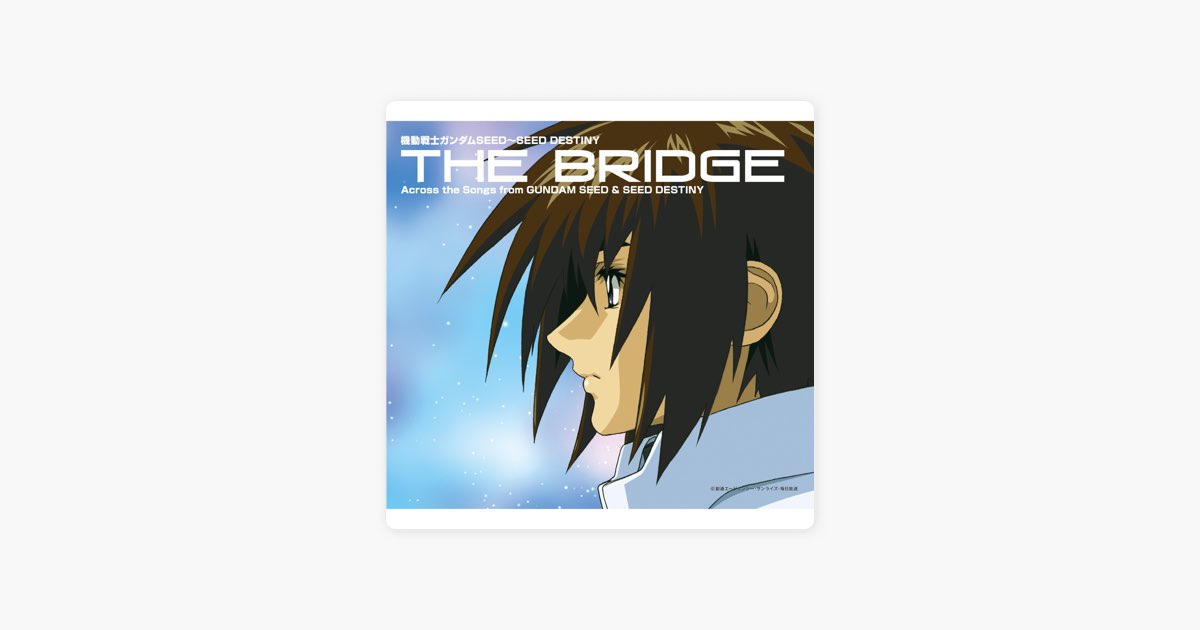30220 初回 機動戦士ガンダムSEED~SEED DESTINY BEST「THE BRIDGE」Across the Songs from  GUNDAM SEEDSEED DESTINY