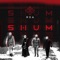 SHUM (Instrumental Version) artwork