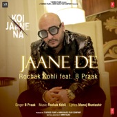 Jaane De (From "Koi Jaane Na") artwork