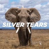Silver Tears - EP artwork