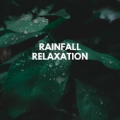 Rainfall Relaxation artwork