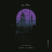 Just a Fool (The Remixes) - EP artwork
