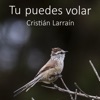 Tu Puedes Volar