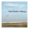 Opus 20 - David Qualey lyrics