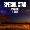 Special Star (feat. Niyaaz) - Single