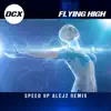 Flying High (Speed Up Alejz Remix) - Single album lyrics, reviews, download