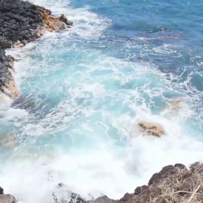 Cherry crush wallpaper