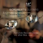 Schuberts Guitars artwork