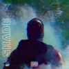 Shade - Single