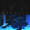 Dragula - Single, 2020
