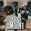 Large Amount (feat. YN Jay & Zay Hilfiger) - Single album lyrics, reviews, download