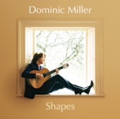 Dominic Miller - Gymnopédie No. 1
