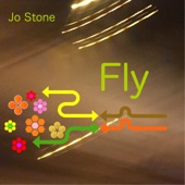 Fly (Remix) artwork