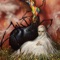 Backmask - Circa Survive lyrics