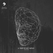 A Trip in My Mind artwork