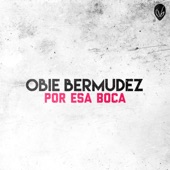 Por Esa Boca artwork