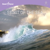 Spirit of the Sea artwork