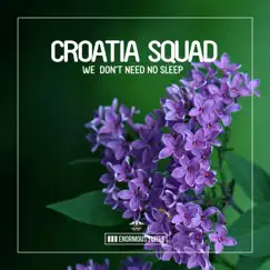 We Don't Need No Sleep - Single by Croatia Squad album reviews, ratings, credits