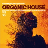 Organic House (Chill House, Downtempo, Smooth Grooves from the Deep Mind of Irma) artwork