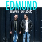 Leiwand (Unplugged) artwork