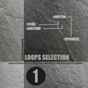 Loops Selection