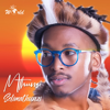 Mthunzi & Sun-El Musician - Insimbi artwork