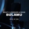 Bulamu - Single