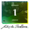Beethoven: Unknown Masterworks, Vol. 1 album lyrics, reviews, download