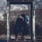 XIX - Brandon Lott lyrics