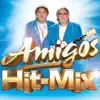 Hit-Mix 2009 - Single album lyrics, reviews, download