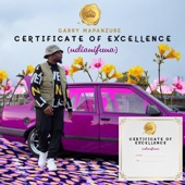 Certificate of Excellence (Ndianifuna) artwork