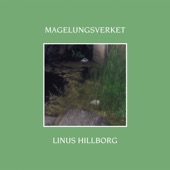 Magelungsverket artwork