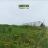Birds (feat. Delayde) - Single album lyrics, reviews, download