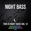 This is Night Bass: Vol. 12