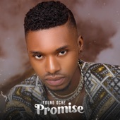 Promise artwork