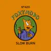 Slow Burn album lyrics, reviews, download