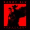 Sanctuary (The Anix Remix) - Danny Blu lyrics