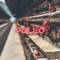 Pollo - Sheptor Oficial lyrics