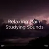 !!!" Relaxing Rain: Studying Sounds "!!! album lyrics, reviews, download