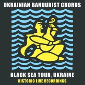 Ukrainian Bandurist Chorus - Ukrainian National Anthem (Live)