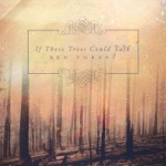 If These Trees Could Talk - The First Fire