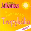 Banda Líbanos & Forrozão Tropykália, Vol. 1