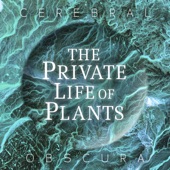 The Private Life of Plants artwork