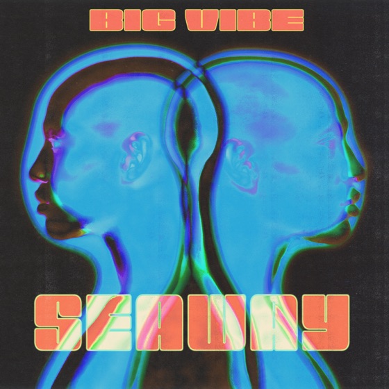 Cover artwork for Big Vibe